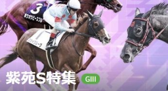 G３紫苑S　分析レポート